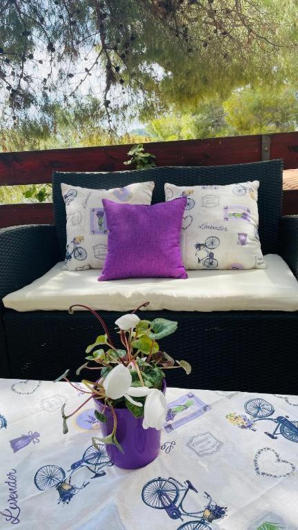 Lovely On The Private - Island Korcula Apartment *